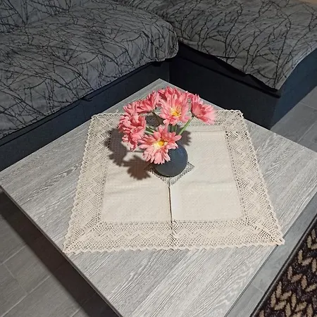 Brand New 2020 Specious Druzi 2 Daire *
