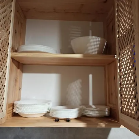 Brand New 2020 Specious Druzi 2 * Palyanytsya