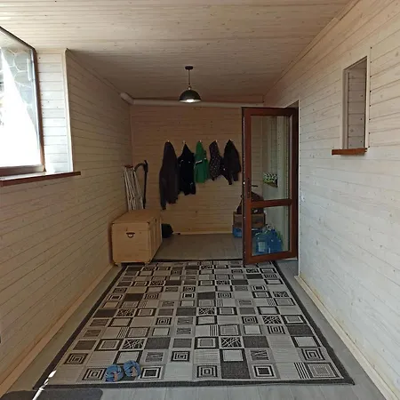 Brand New 2020 Specious Druzi 2 Apartment Palyanytsya