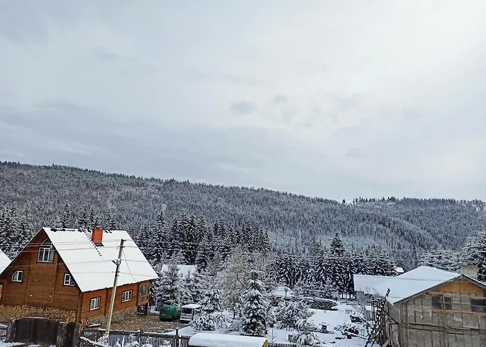 Daire Brand New 2020 Specious Druzi 2 Palyanytsya