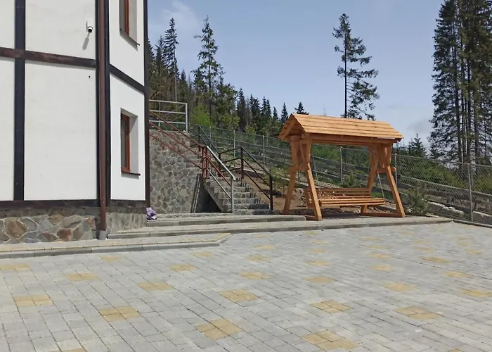 Brand New 2020 Specious Druzi 2 * Palyanytsya