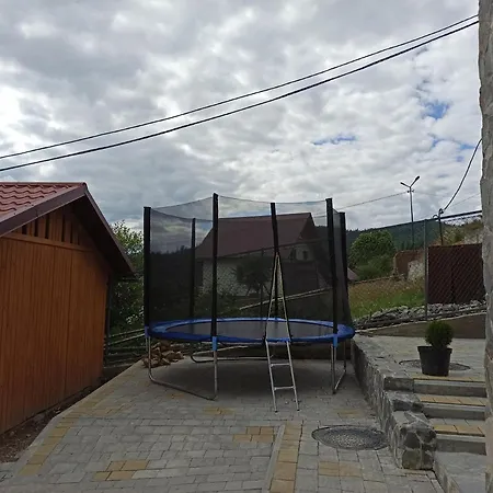 Brand New 2020 Specious Druzi 2 *