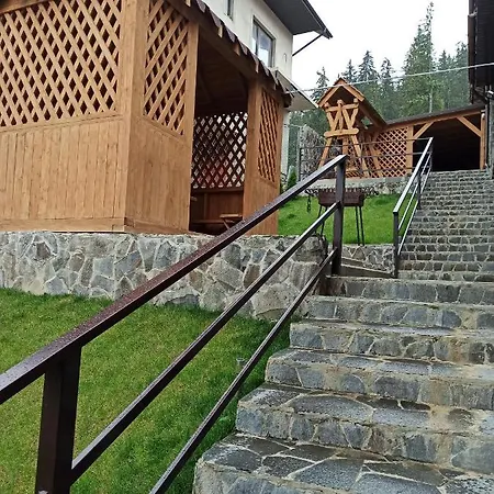 Brand New 2020 Specious Druzi 2 * Palyanytsya