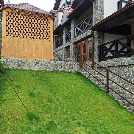 Brand New 2020 Specious Druzi 2 *