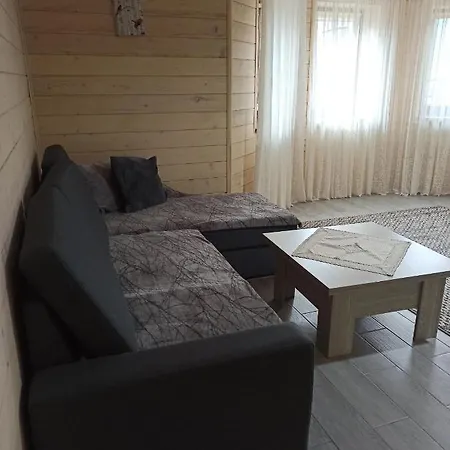 Apartment Brand New 2020 Specious Druzi 2