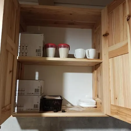 Apartment Brand New 2020 Specious Druzi 2 Palyanytsya