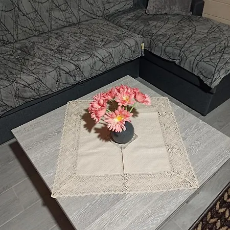 Brand New 2020 Specious Druzi 2 Palyanytsya