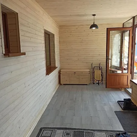 Brand New 2020 Specious Druzi 2 *