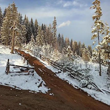 Brand New 2020 Specious Druzi 2 Palyanytsya