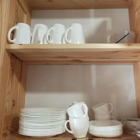 Brand New 2020 Specious Druzi 2 Apartment *