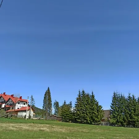 Brand New 2020 Specious Druzi 2 Apartment